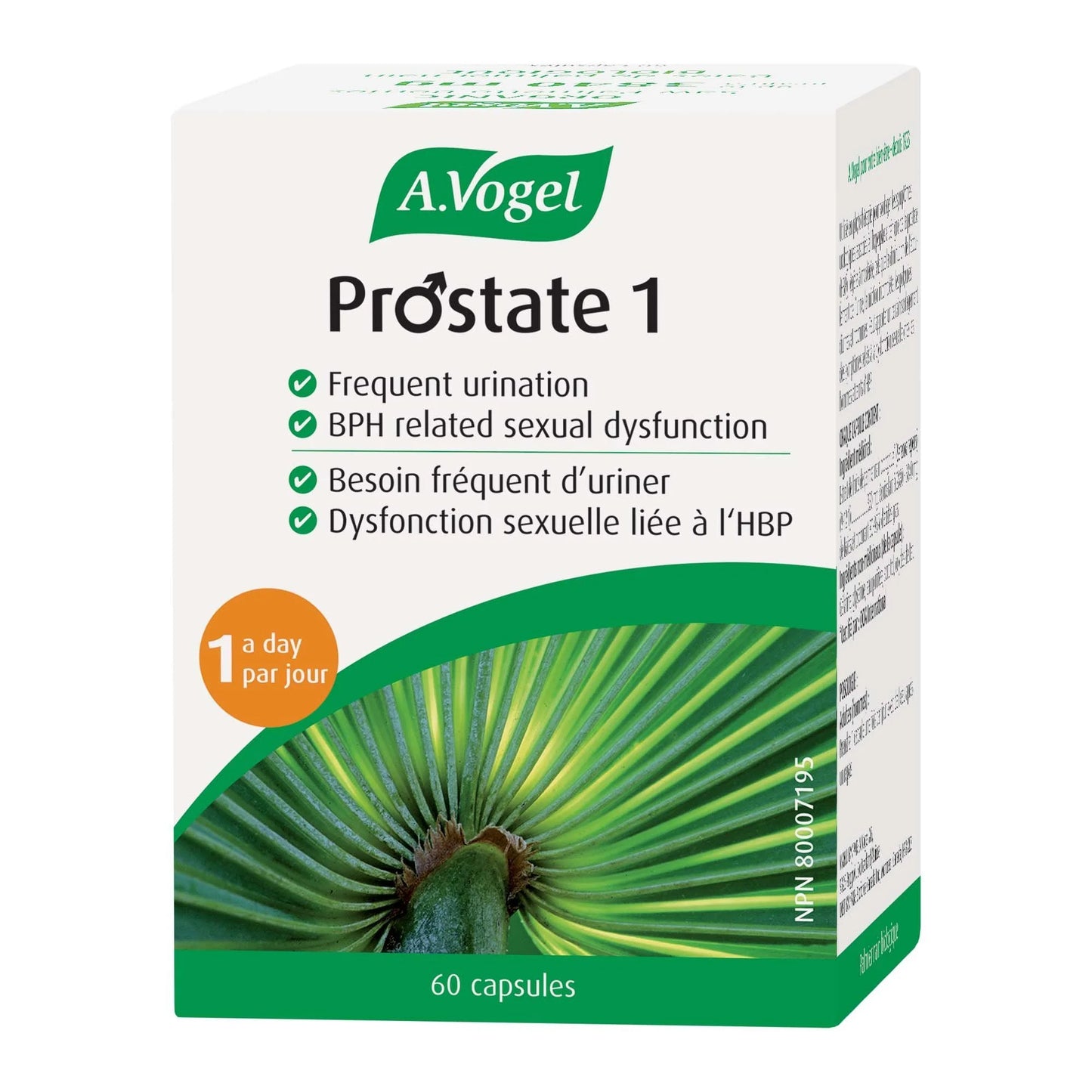 Prostate 1 60 capsules