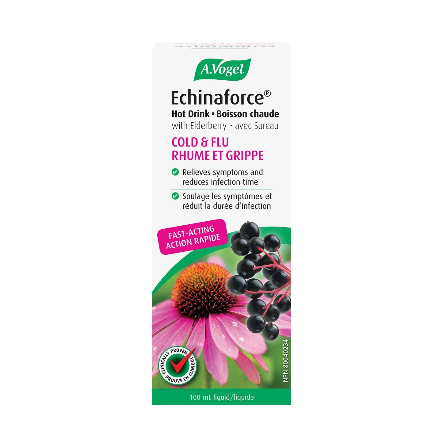 Echinaforce boisson chaude 100mL