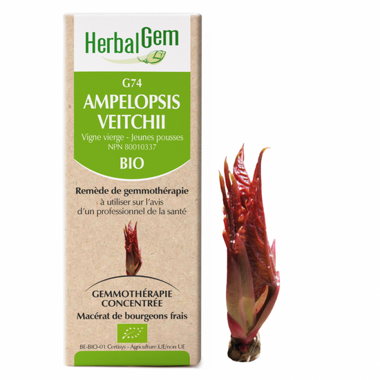 G74 Ampelopsis Veitchii biologique 15ml