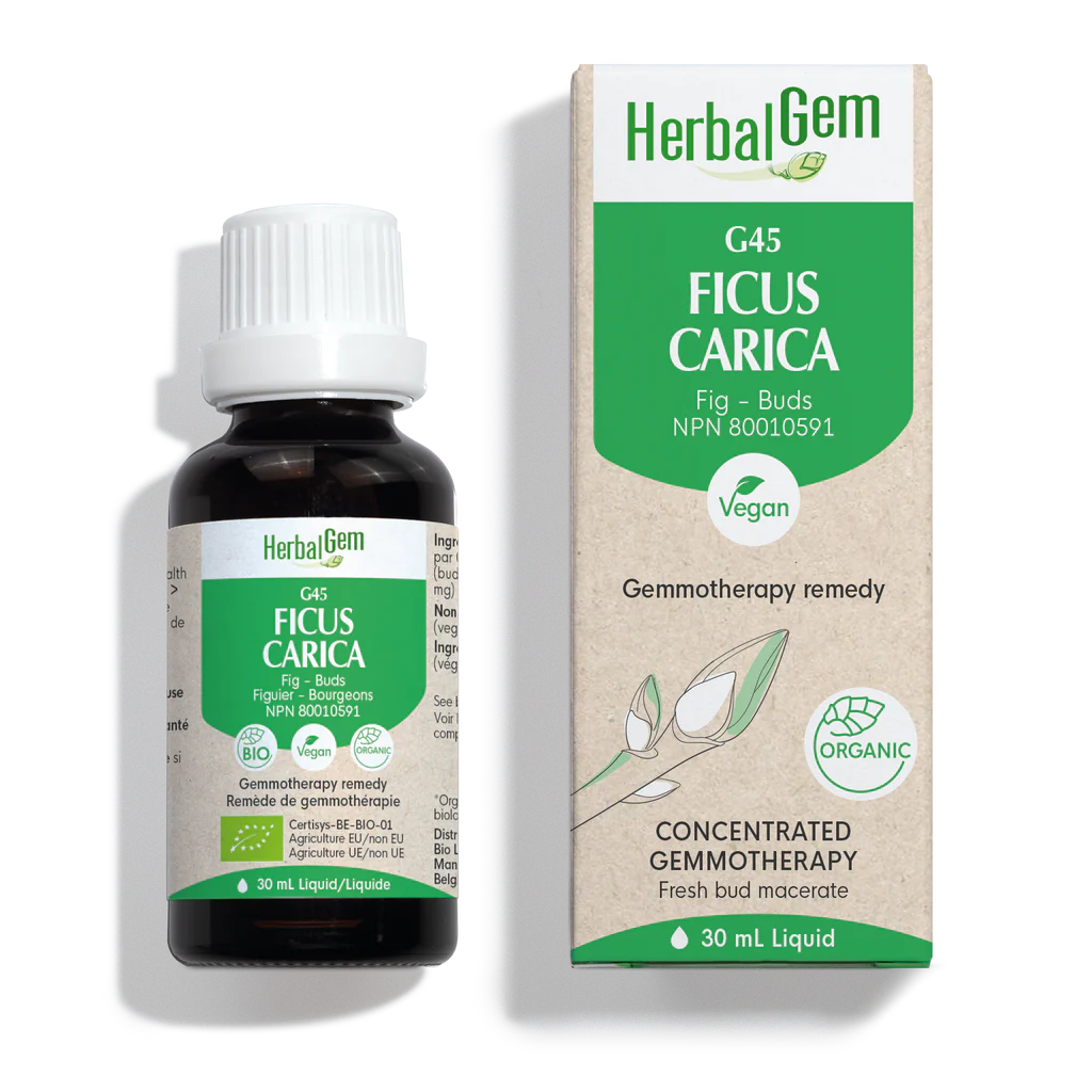 G45 Ficus Carica biologique 30ml