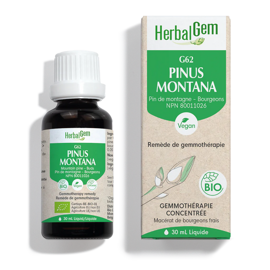 G62 Pinus Montana 30ml