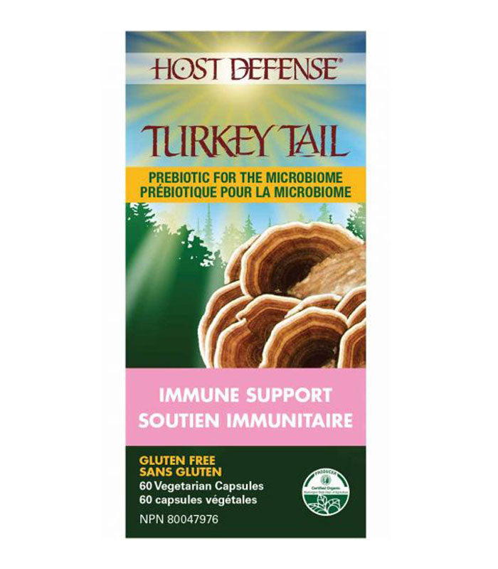 Turkey tail soutien immunitaire