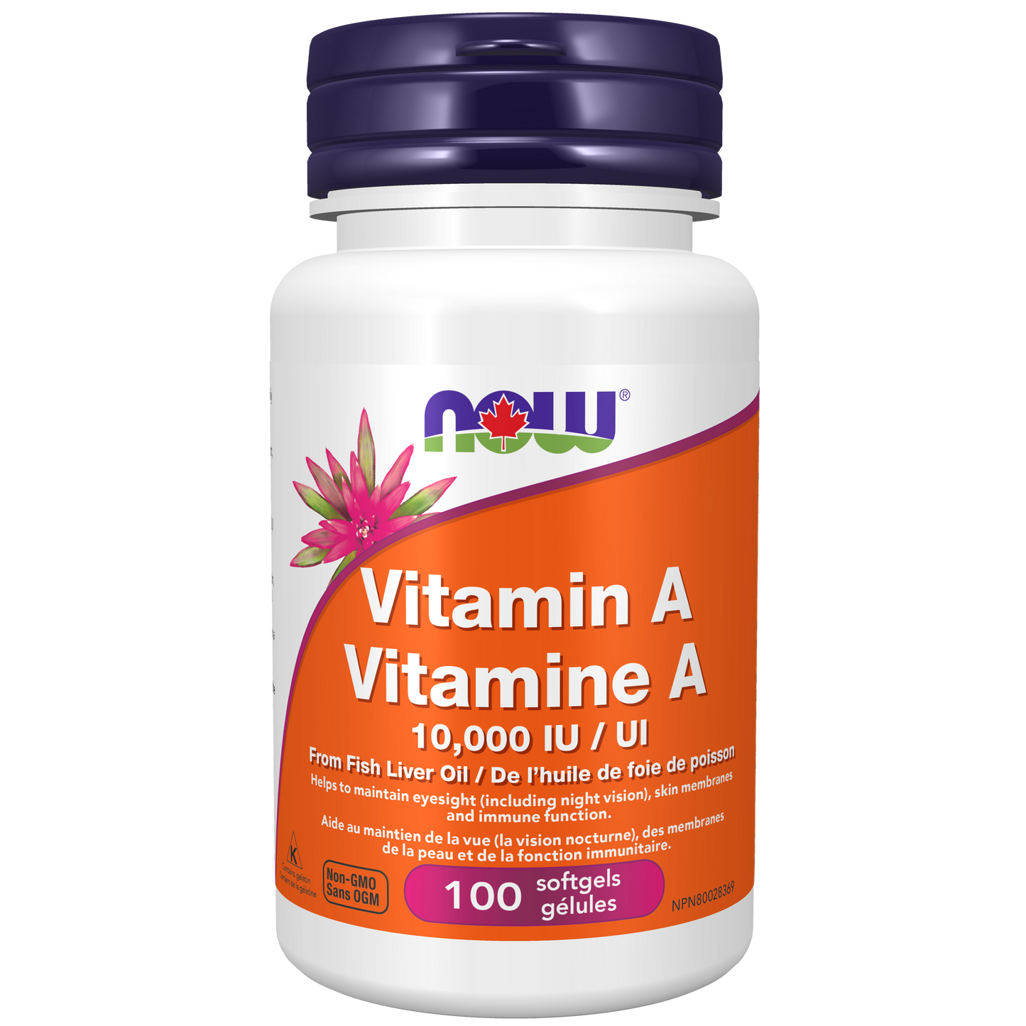 Vitamine A 10000UI 100gélules