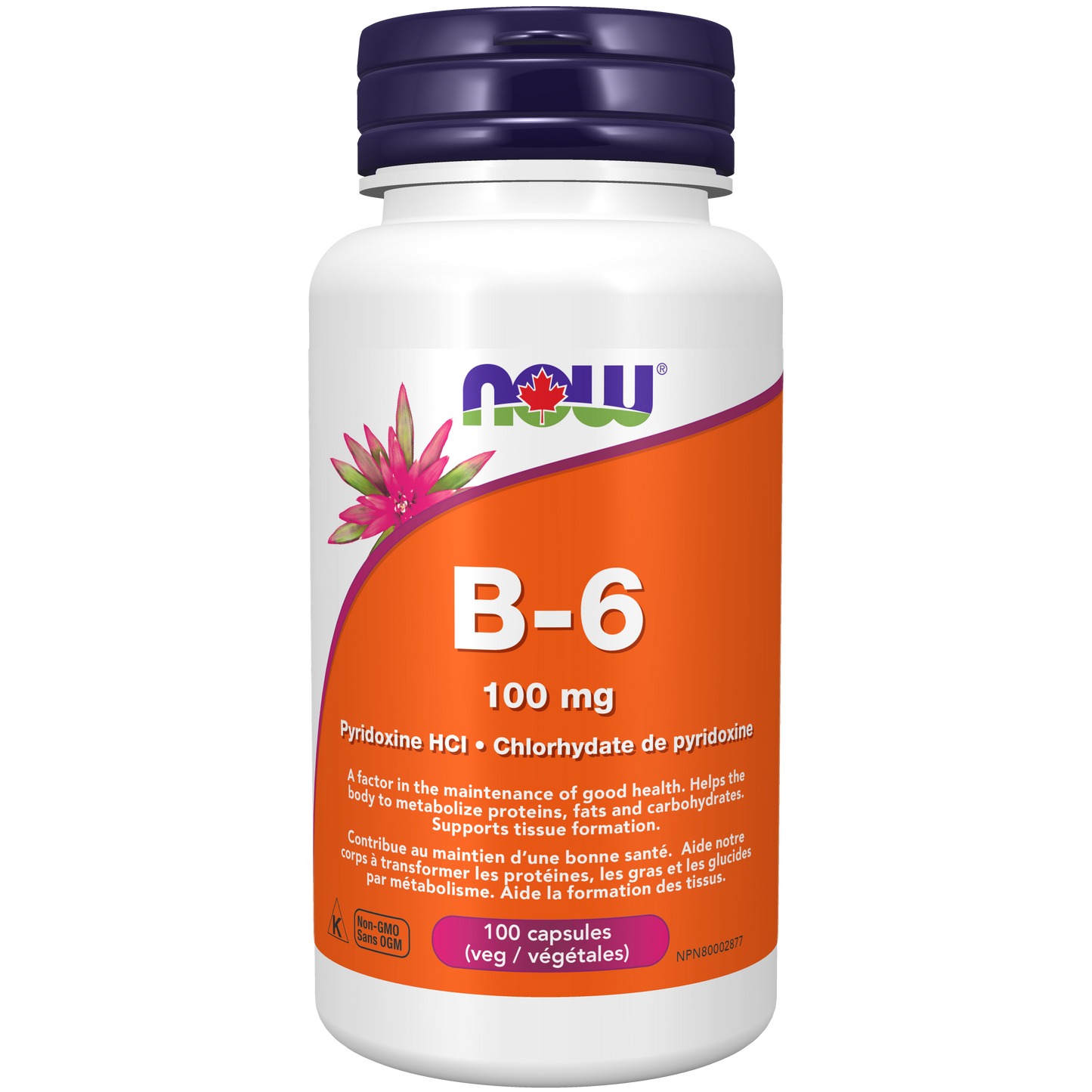 Vitamine B-6 100mg 100capsules