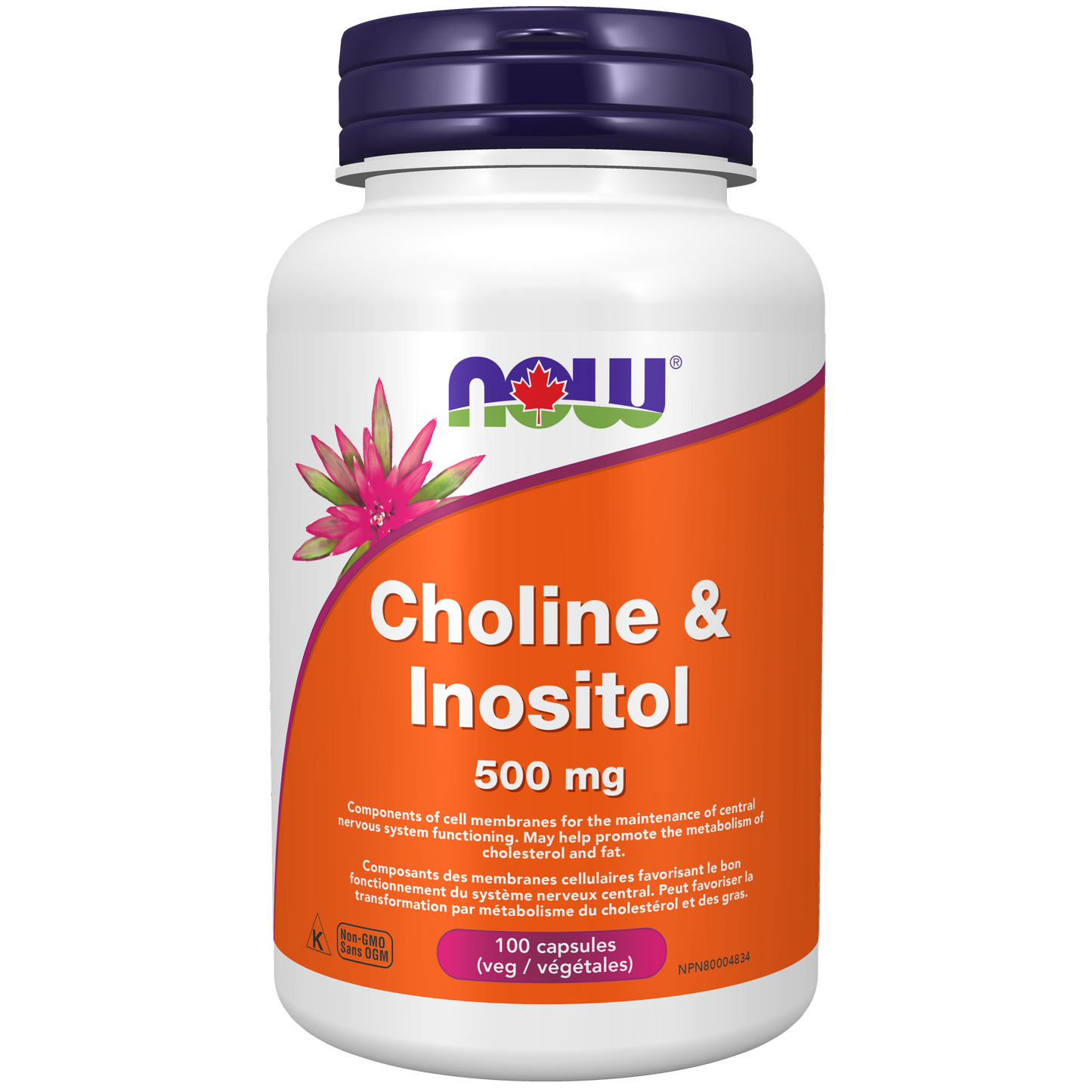 Choline & Inositol 500mg 100capsules