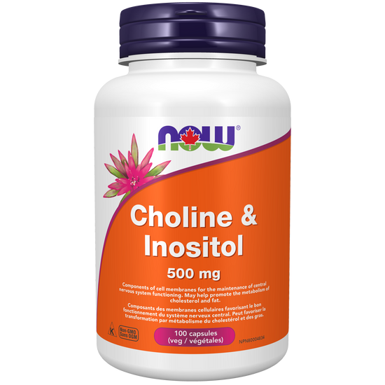 Choline & Inositol 500mg 100capsules