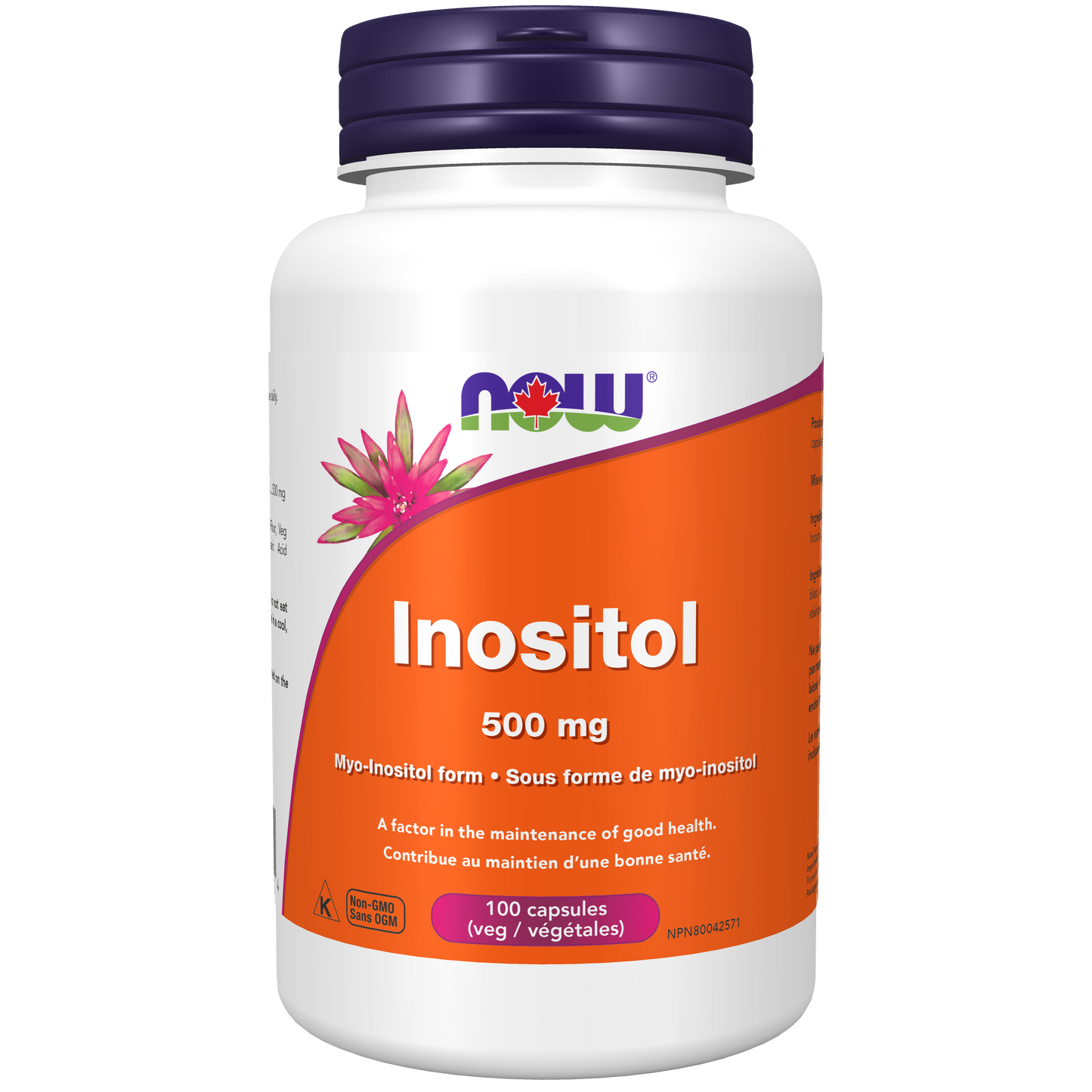 Inositol 500mg 100capsules