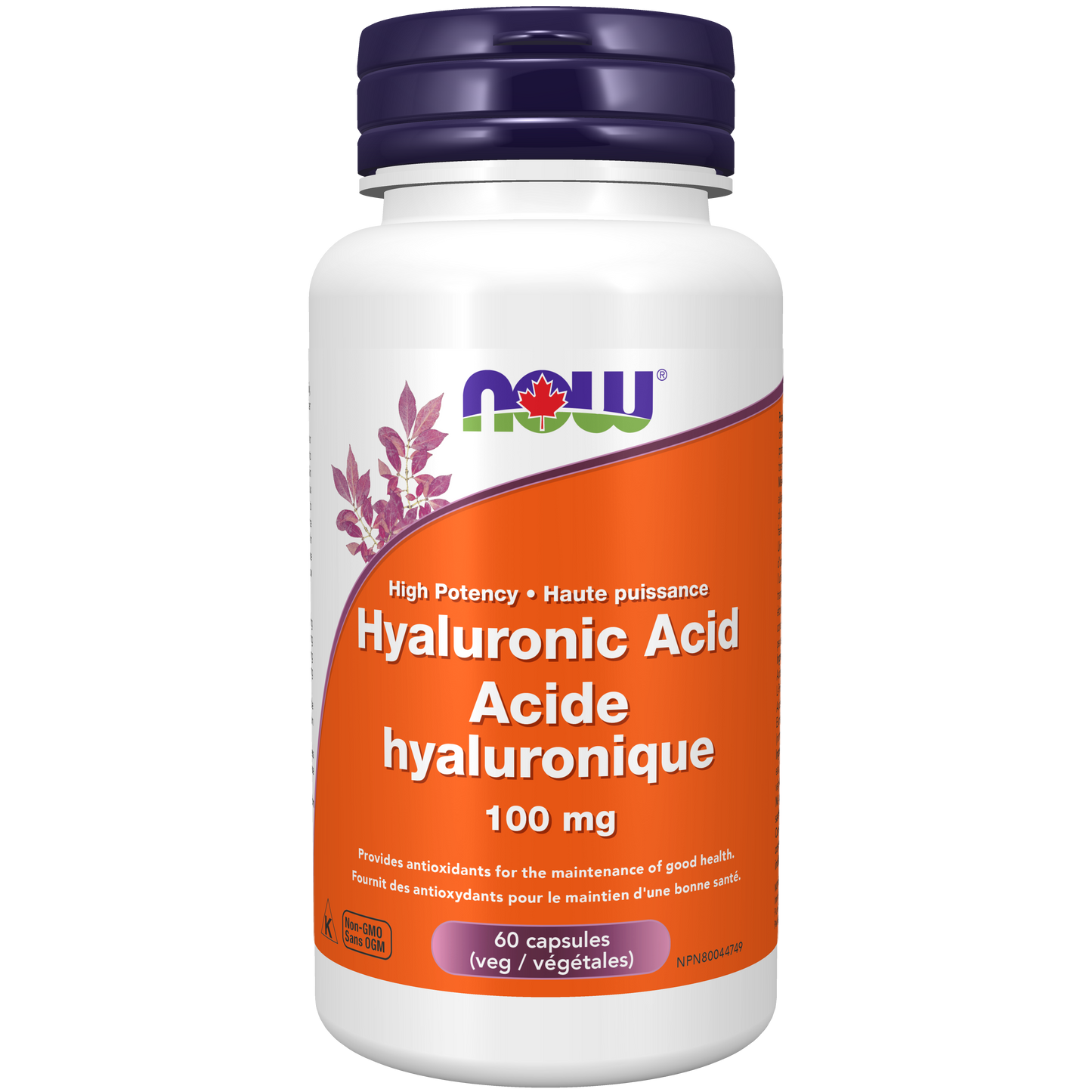 Acide hyaluronique 100mg 60capsules