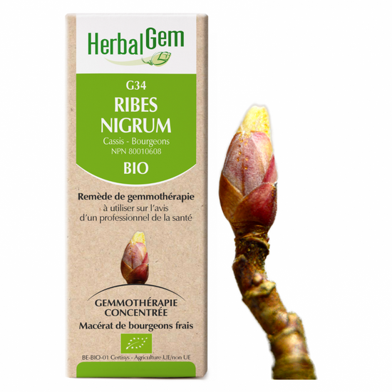 G34 Ribes Nigrum biologique 30ml