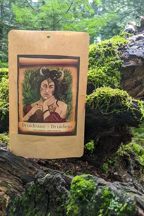 Tisane Druidesse 15g