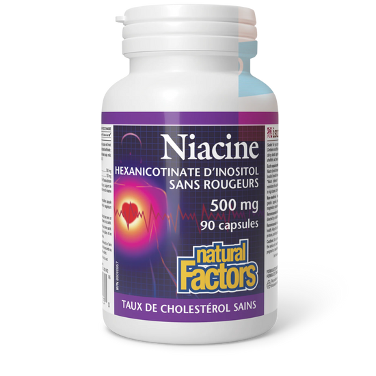 Niacine 500mg 90 capsules