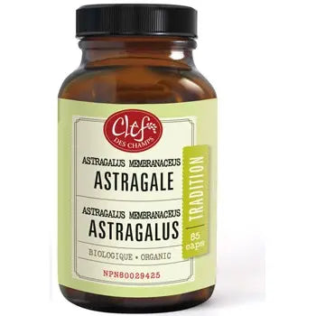 Astragale 85 capsules