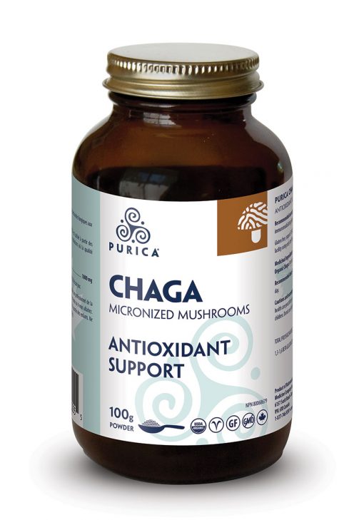 Chaga micronisé