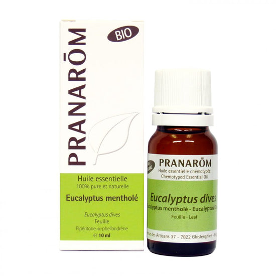 Pranarom Huile essentielle d'Eucalyptus mentholé 10ml