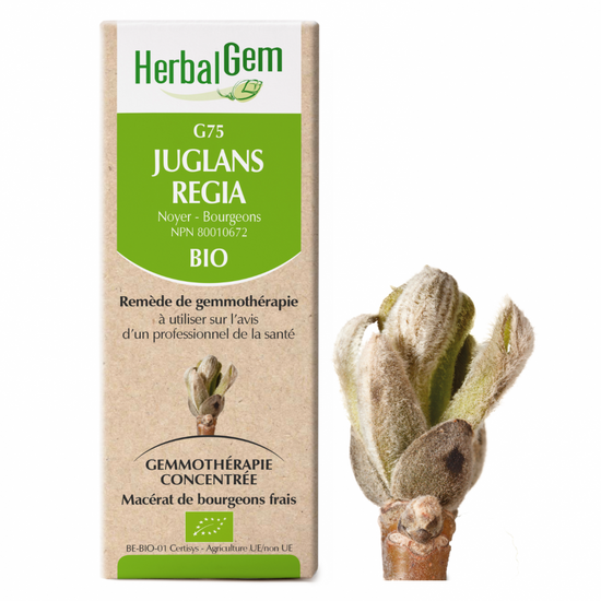 G75 Juglans Regia biologique