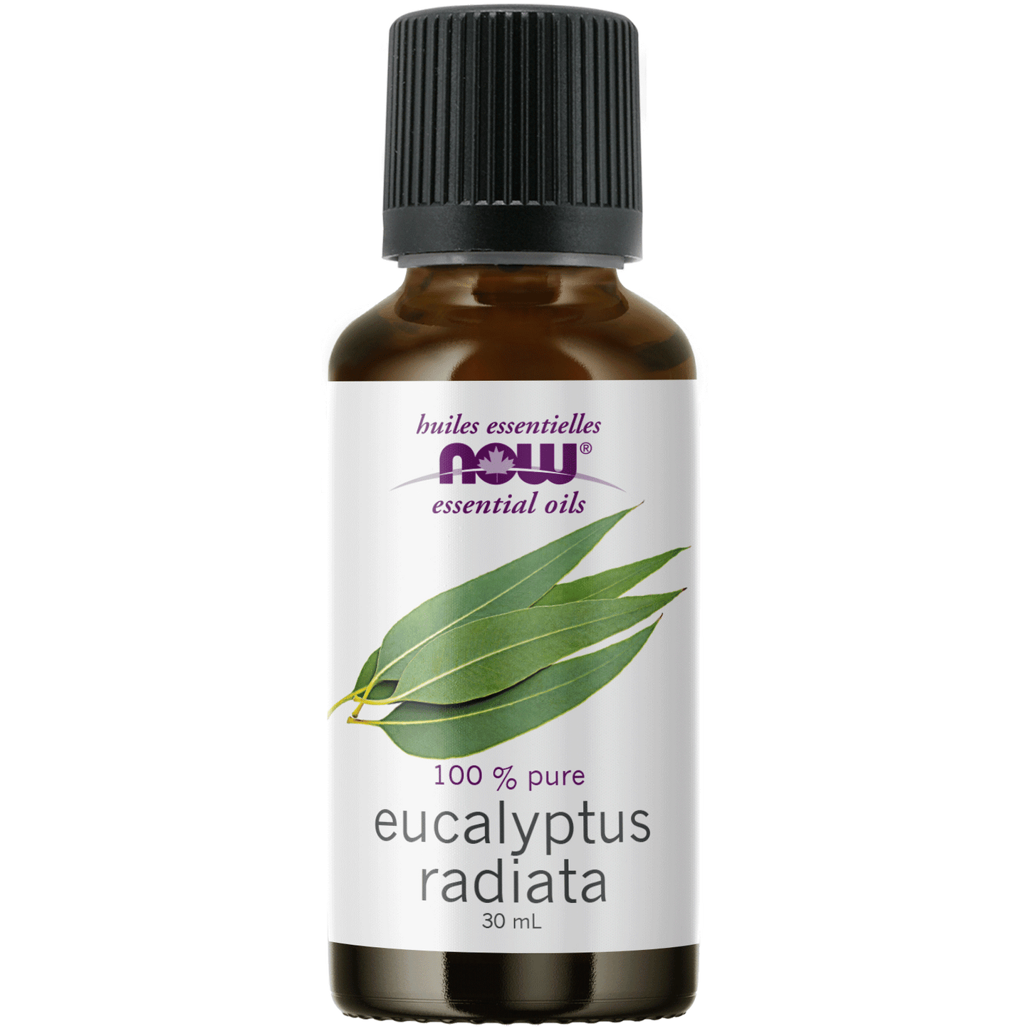 Huile essentielle Eucalyptus radié Now 100% Pure 30ml