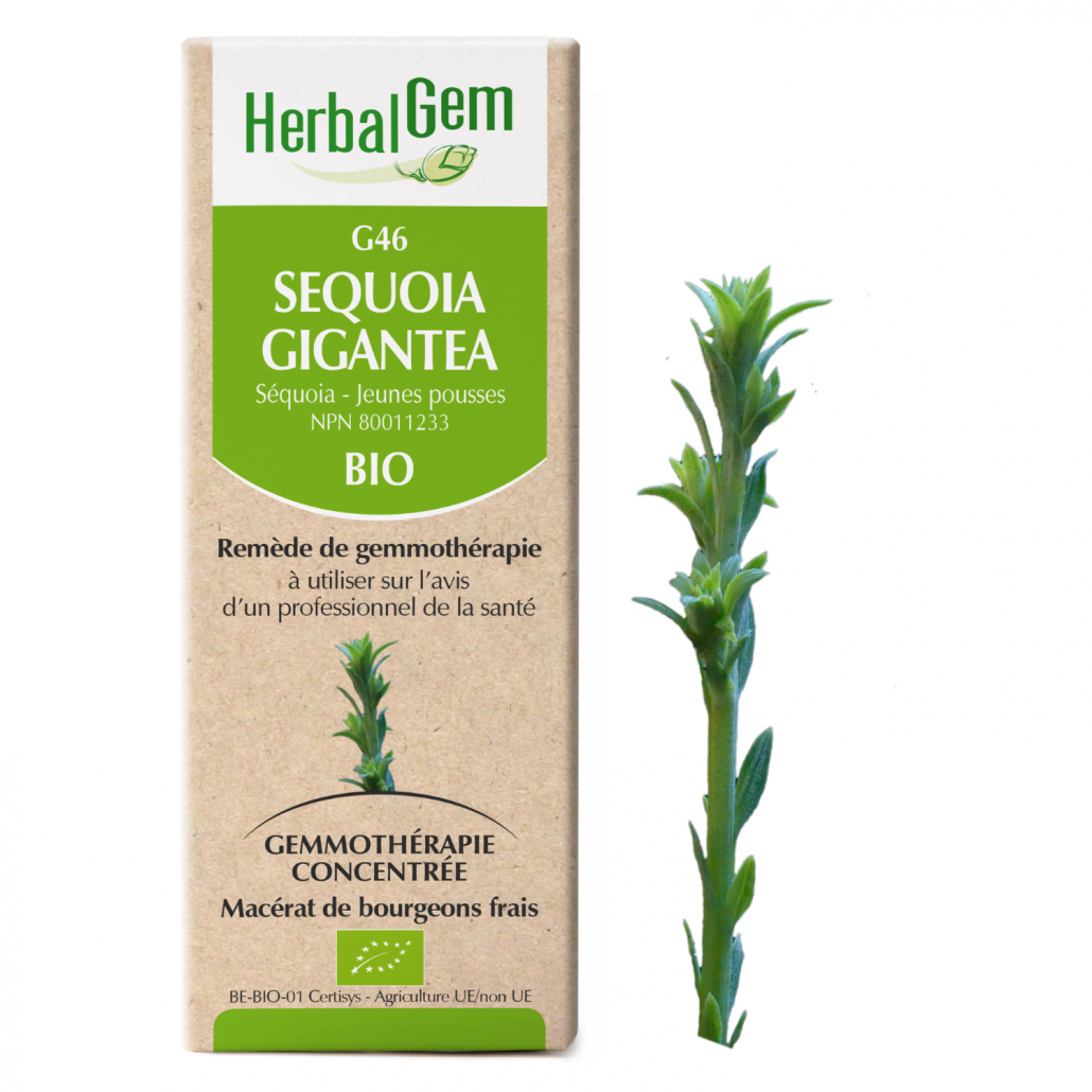 G46 Sequoia Gigantea biologique 30ml