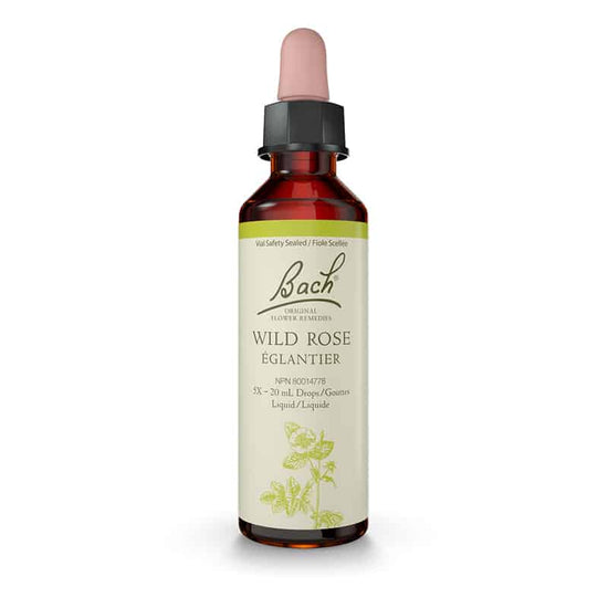 Wild rose/Églantier 20 ml