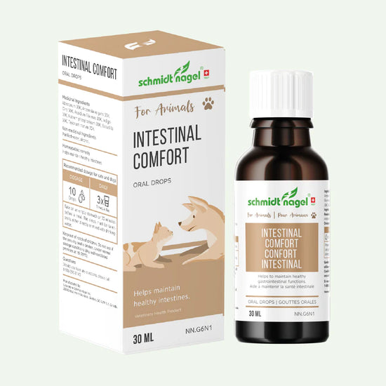 Confort intestinal (Troubles intestinaux) Homéopathie Animaux 30ml